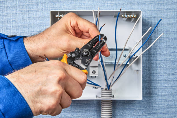 Best Electrical Panel Upgrades  in Brunswick, MD